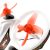 Emax EZ Pilot Начинающий Крытый FPV Гоночный дрон с 600TVL CMOS камера 37CH 25mW RC Quadcopter RTF - Одна батарея — изображение 8