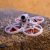 Emax Tinyhawk III BNF FPV Гоночный дрон F4 5A 15000KV RunCam Nano 4 37CH 25-100-200 мВт VTX 1S-2S FrSky D8 — изображение 18